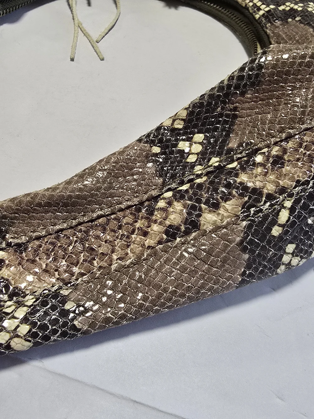 Alexis Hudson stylish snake